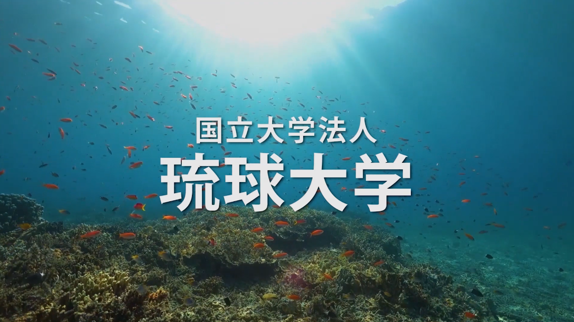観光プロモーション動画や映像を制作する沖縄の会社