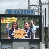 観光プロモーション動画や映像を沖縄で制作する会社